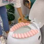 Toilet seat cover