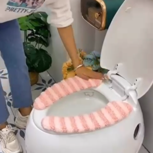 Toilet seat cover