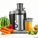 Electric juicer